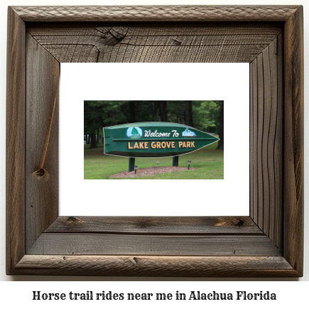 horse trail rides near me in Alachua, Florida